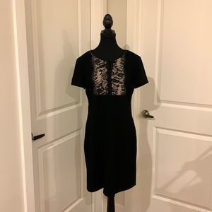 Karl Lagerfeld Lace front dress NWT